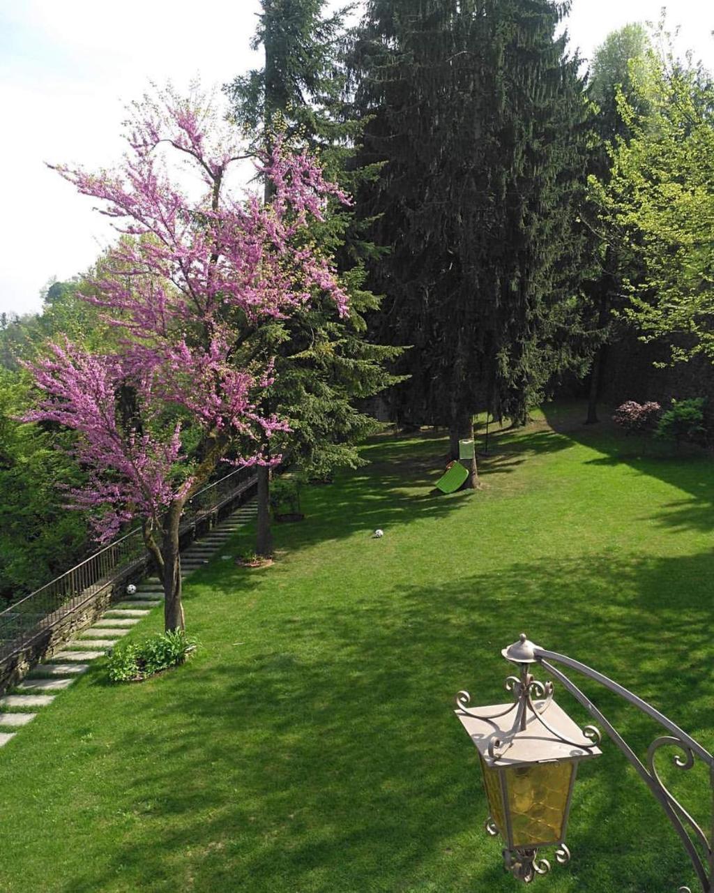 B&B Dimora Delle Donnole Bergamo Alta エクステリア 写真